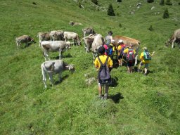 1_tag_auf_der_alp_20130217_1530580819