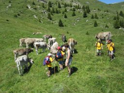 1_tag_auf_der_alp_20130217_1646666682
